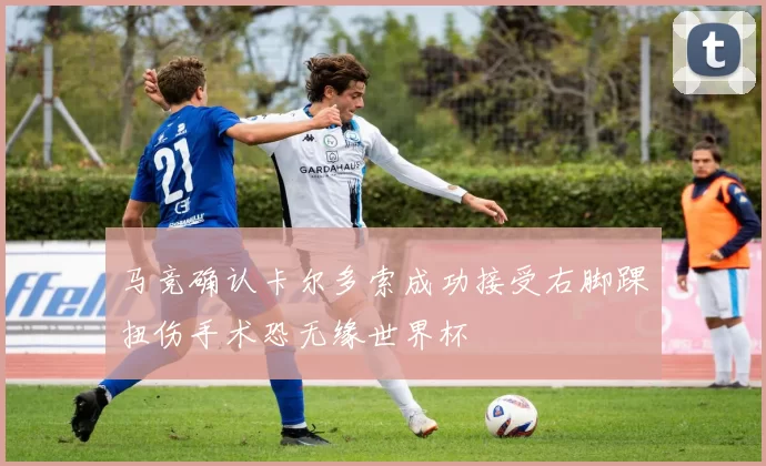 马竞确认卡尔多索成功接受右脚踝扭伤手术恐无缘世界杯